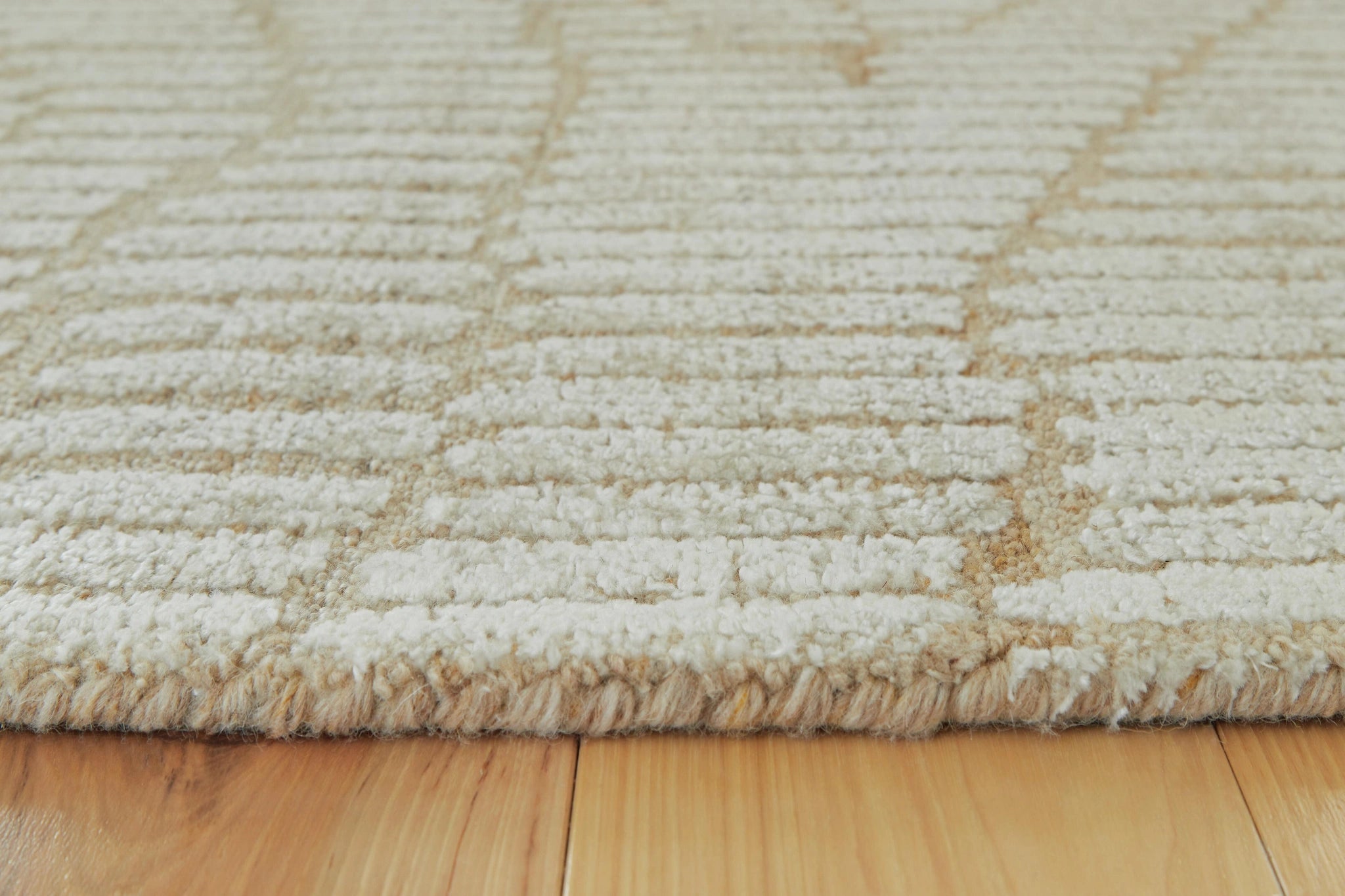 Jaseena Area Rug